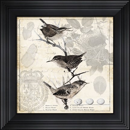 Framed Botanical Birds Black Cream I Print