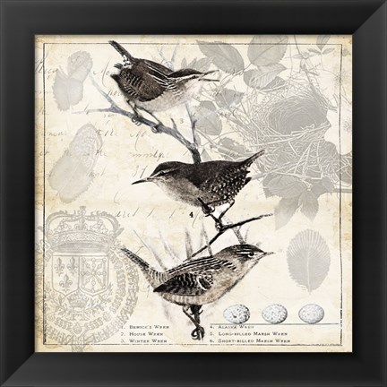 Framed Botanical Birds Black Cream I Print