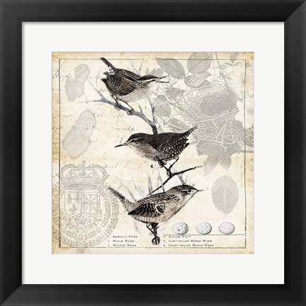 Framed Botanical Birds Black Cream I Print