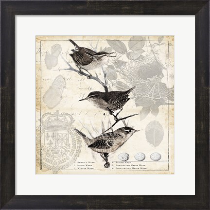 Framed Botanical Birds Black Cream I Print