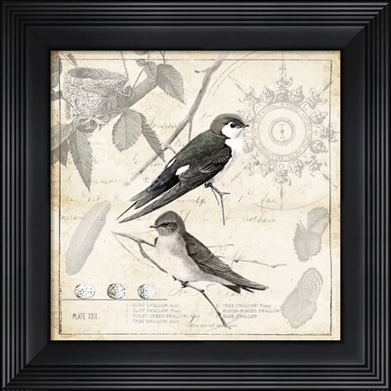 Framed Botanical Birds Black Cream II Print