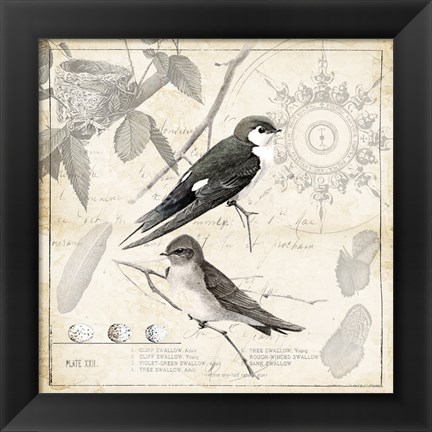 Framed Botanical Birds Black Cream II Print