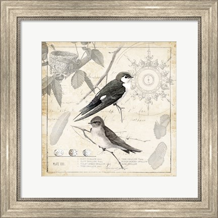 Framed Botanical Birds Black Cream II Print