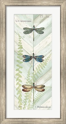 Framed Dragonfly Botanical Panels I Print