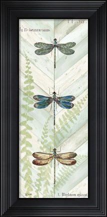 Framed Dragonfly Botanical Panels I Print