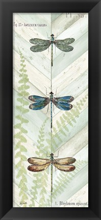 Framed Dragonfly Botanical Panels I Print