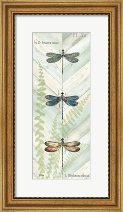 Framed Dragonfly Botanical Panels I Print