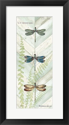 Framed Dragonfly Botanical Panels I Print