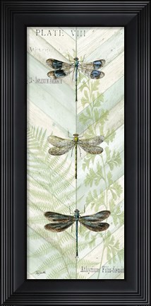 Framed Dragonfly Botanical Panels II Print