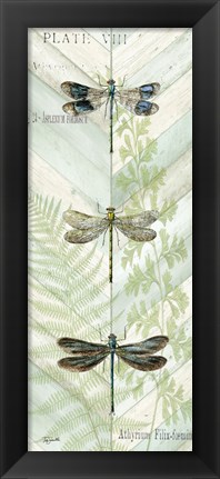 Framed Dragonfly Botanical Panels II Print