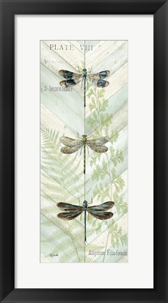 Framed Dragonfly Botanical Panels II Print