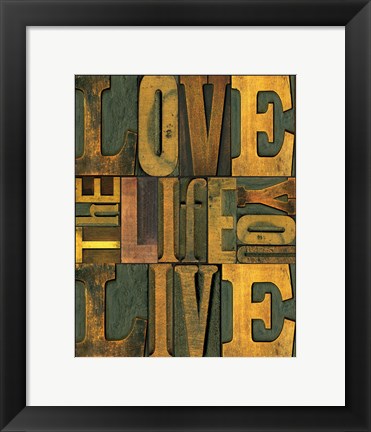 Framed Printers Block Sentiments II Print