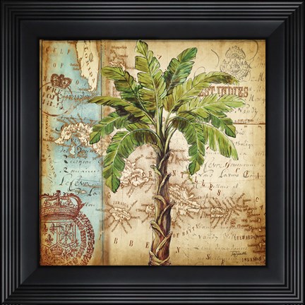 Framed Antique Nautical Palms I Print