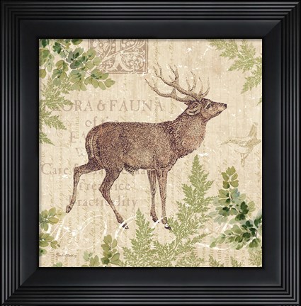 Framed Woodland Trail I (Deer) Print