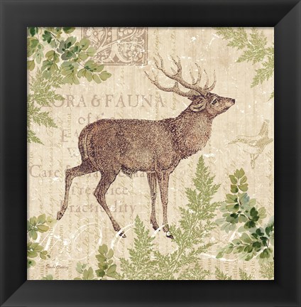 Framed Woodland Trail I (Deer) Print