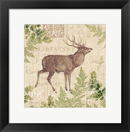 Framed Woodland Trail I (Deer) Print