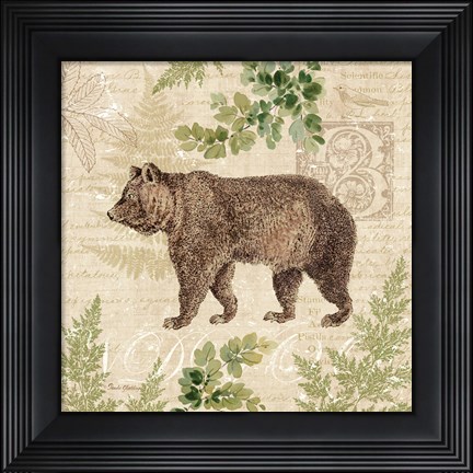 Framed Woodland Trail II (Bear) Print