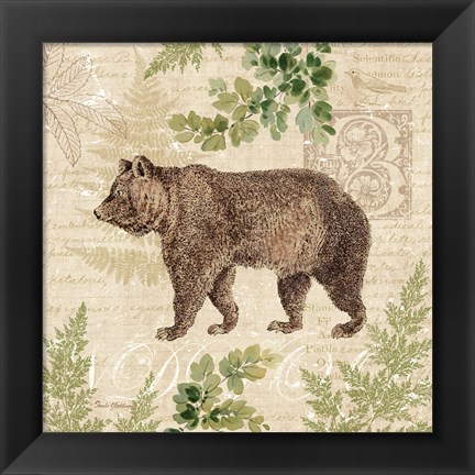 Framed Woodland Trail II (Bear) Print