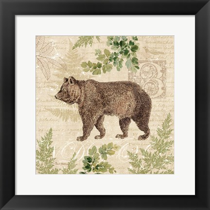 Framed Woodland Trail II (Bear) Print