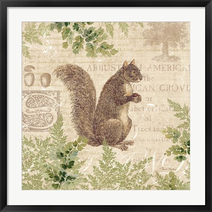 Framed Woodland Trail III (Squirrel) Print