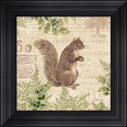 Framed Woodland Trail III (Squirrel) Print