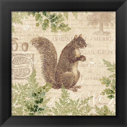 Framed Woodland Trail III (Squirrel) Print