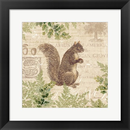 Framed Woodland Trail III (Squirrel) Print