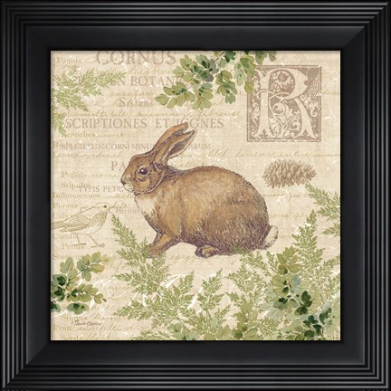 Framed Woodland Trail IV (Rabbit) Print