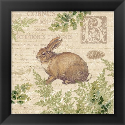 Framed Woodland Trail IV (Rabbit) Print