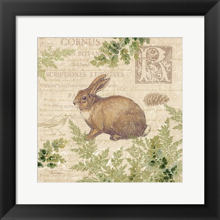 Framed Woodland Trail IV (Rabbit) Print