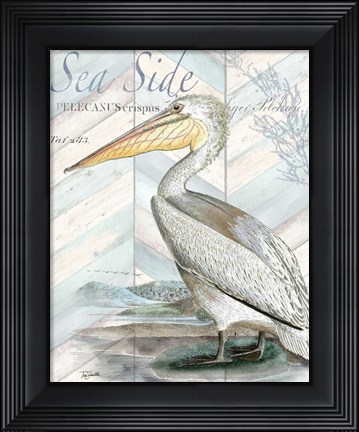 Framed Shore Birds II Print