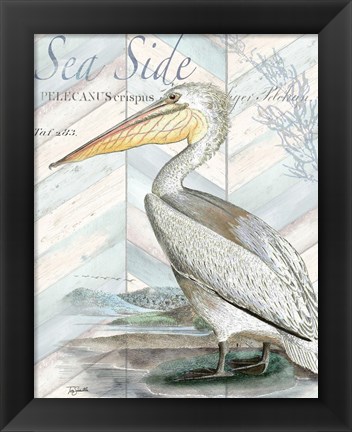 Framed Shore Birds II Print