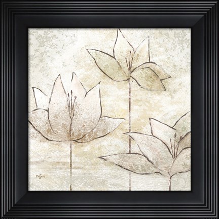 Framed Floral Sketch II Print
