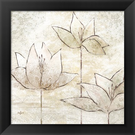 Framed Floral Sketch II Print