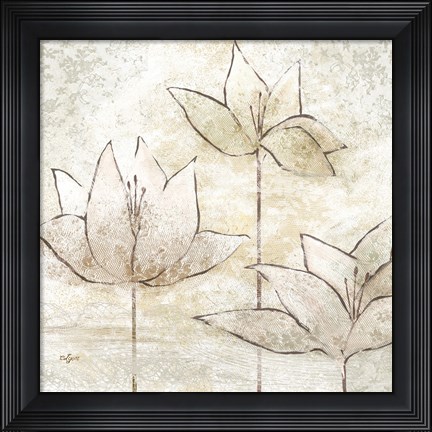 Framed Floral Sketch II Print