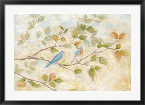 Framed Blue Birds Branch Print