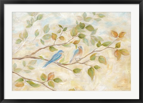 Framed Blue Birds Branch Print