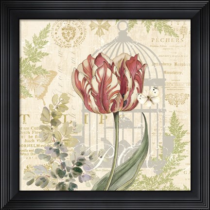 Framed Floral Nature Trail II Print