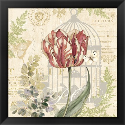 Framed Floral Nature Trail II Print