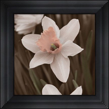 Framed Hint of Spring II Print