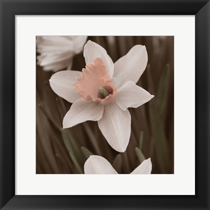 Framed Hint of Spring II Print