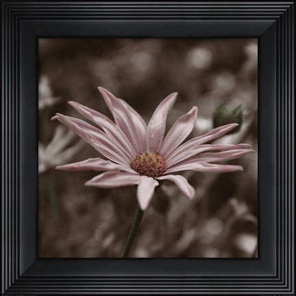 Framed Hint of Spring IV Print