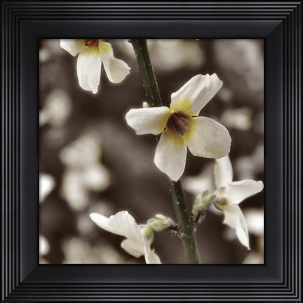 Framed Hint of Spring VI Print