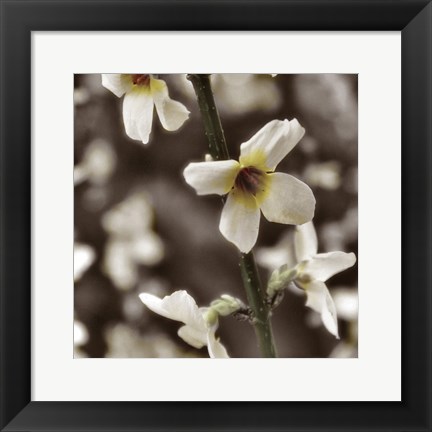 Framed Hint of Spring VI Print