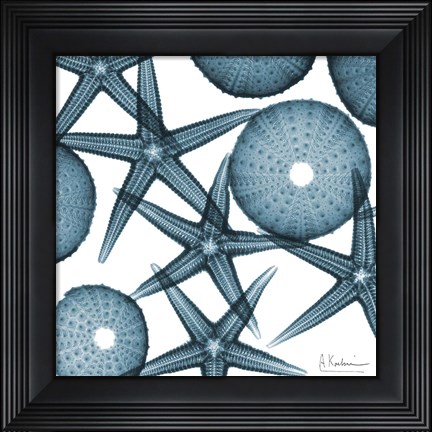 Framed Starfish 2 Print