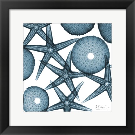 Framed Starfish 2 Print