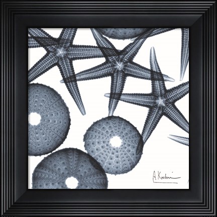 Framed Starfish Trip 3 Print
