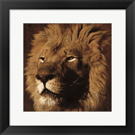 Framed Lion 2 Print