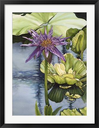 Framed Lily Print