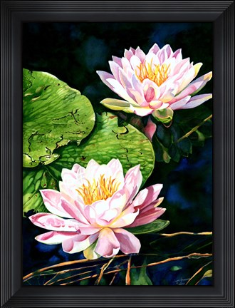 Framed Waterlily Reflections Print